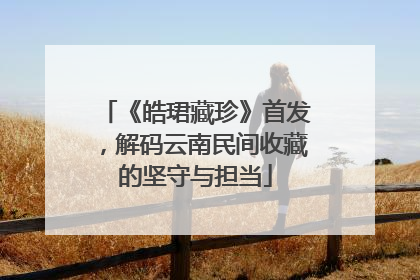 《皓珺藏珍》首发，解码云南民间收藏的坚守与担当