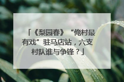 《梨园春》“俺村最有戏”驻马店站，六支村队谁与争锋？
