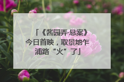 《酱园弄·悬案》今日首映，取景地乍浦路“火”了
