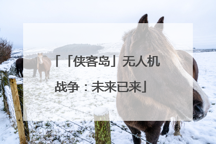 「侠客岛」无人机战争：未来已来