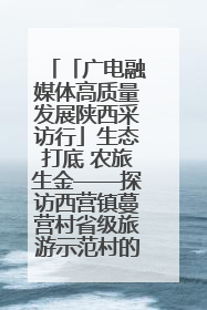 「广电融媒体高质量发展陕西采访行」生态打底 农旅生金——探访西营镇蔓营村省级旅游示范村的振兴密码