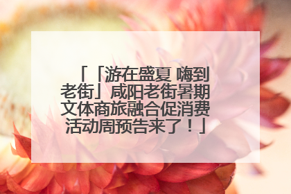 「游在盛夏 嗨到老街」咸阳老街暑期文体商旅融合促消费活动周预告来了！