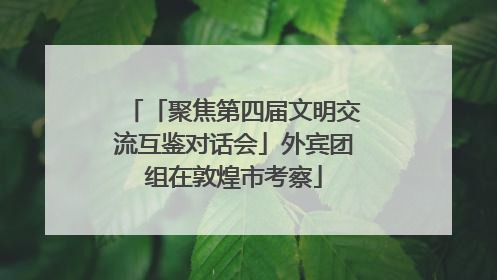 「聚焦第四届文明交流互鉴对话会」外宾团组在敦煌市考察