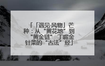 「遇见·风物」芒种：从“黄花地”到“黄金链” 丁嘴金针菜的“古法”经