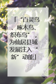 “百灵鸟、啄木鸟、织布鸟”，为仙居县域发展注入“新”动能