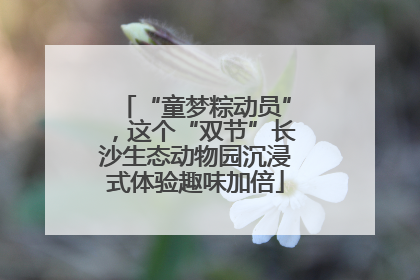 “童梦粽动员”，这个“双节”长沙生态动物园沉浸式体验趣味加倍