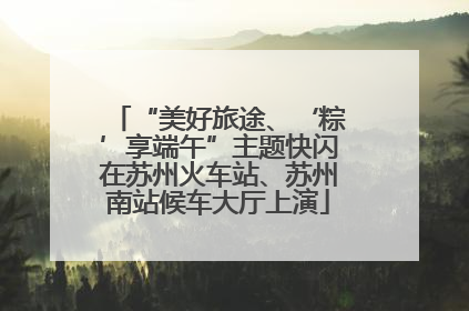 “美好旅途、‘粽’享端午”主题快闪在苏州火车站、苏州南站候车大厅上演