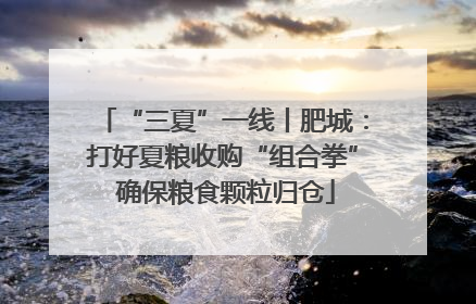 “三夏”一线丨肥城：打好夏粮收购“组合拳” 确保粮食颗粒归仓