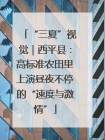 “三夏”视觉｜西平县：高标准农田里上演昼夜不停的“速度与激情”