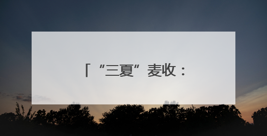 “三夏”麦收：机收“大比武” 减损论“英雄”