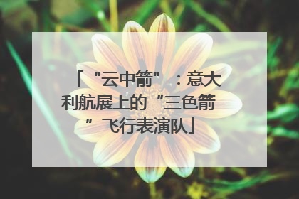 “云中箭”：意大利航展上的“三色箭”飞行表演队