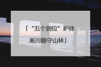 “五个到位”护体 淅川稳守山林