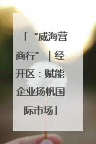 “威海营商行”｜经开区：赋能企业扬帆国际市场