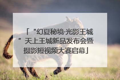 “幻夏秘境·光影王城”天上王城新品发布会暨摄影短视频大赛启幕