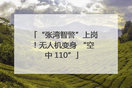 “张湾智警”上岗！无人机变身 “空中 110”