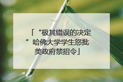“极其错误的决定”哈佛大学学生怒批美政府禁招令