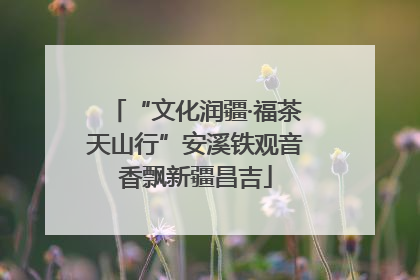 “文化润疆·福茶天山行”安溪铁观音香飘新疆昌吉