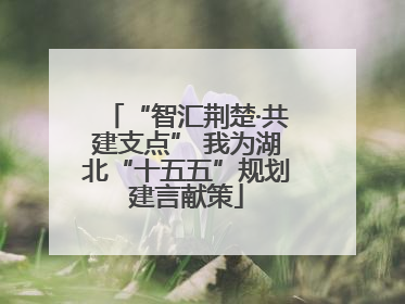 “智汇荆楚·共建支点” 我为湖北“十五五”规划建言献策