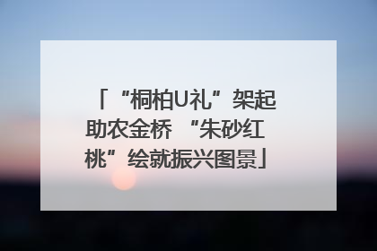 “桐柏U礼”架起助农金桥 “朱砂红桃”绘就振兴图景