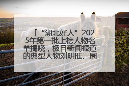 “湖北好人”2025年第一批上榜人物名单揭晓，极目新闻报道的典型人物刘明旺、周亮亮榜上有名