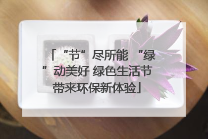 “节”尽所能 “绿”动美好 绿色生活节带来环保新体验