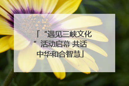 “遇见三峡文化”活动启幕 共话中华和合智慧