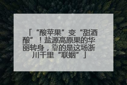 “酸苹果”变“甜酒酿”！盐源高原果的华丽转身，靠的是这场浙川千里“联姻”