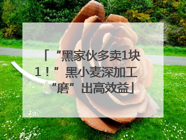 “黑家伙多卖1块1！”黑小麦深加工“磨”出高效益