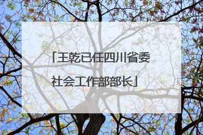 王乾已任四川省委社会工作部部长