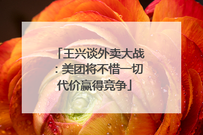 王兴谈外卖大战：美团将不惜一切代价赢得竞争