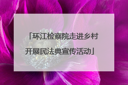 环江检察院走进乡村开展民法典宣传活动