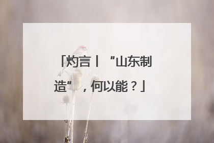 灼言丨“山东制造”，何以能？