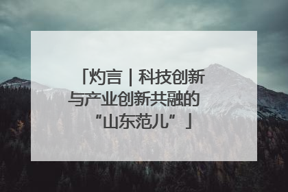 灼言｜科技创新与产业创新共融的“山东范儿”