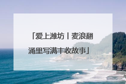 爱上潍坊丨麦浪翻涌里写满丰收故事
