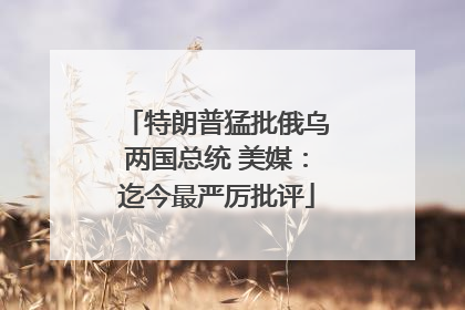 特朗普猛批俄乌两国总统 美媒：迄今最严厉批评