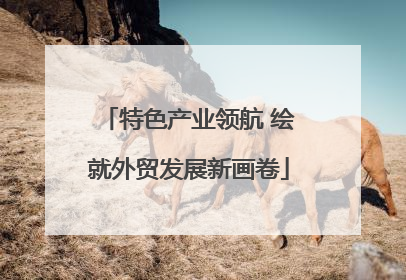 特色产业领航 绘就外贸发展新画卷