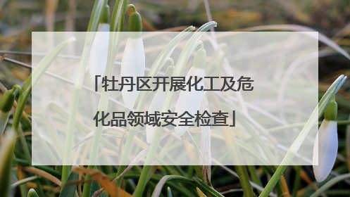 牡丹区开展化工及危化品领域安全检查
