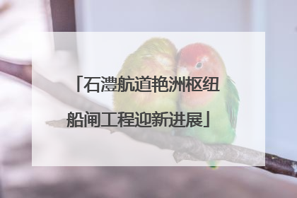 石澧航道艳洲枢纽船闸工程迎新进展