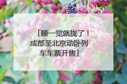 睡一觉就拢了！成都至北京动卧列车车票开售