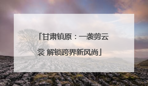 甘肃镇原：一袭剪云裳 解锁跨界新风尚