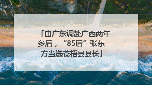 由广东调赴广西两年多后，“85后”张东方当选苍梧县县长