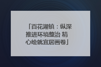 百花湖镇：纵深推进环境整治 精心绘就宜居画卷
