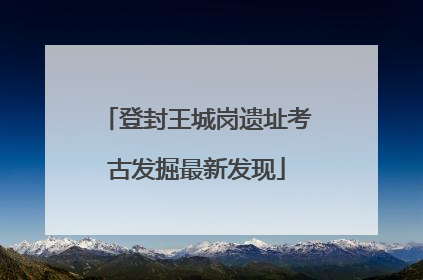 登封王城岗遗址考古发掘最新发现