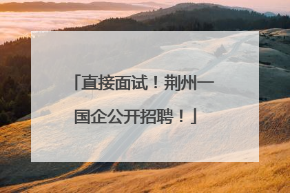 直接面试！荆州一国企公开招聘！