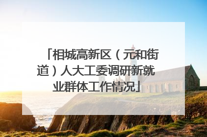 相城高新区（元和街道）人大工委调研新就业群体工作情况