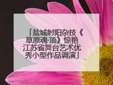 盐城射阳杂技《草原魂·顶》惊艳江苏省舞台艺术优秀小型作品调演