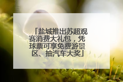 盐城推出苏超观赛消费大礼包，凭球票可享免费游景区、抽汽车大奖