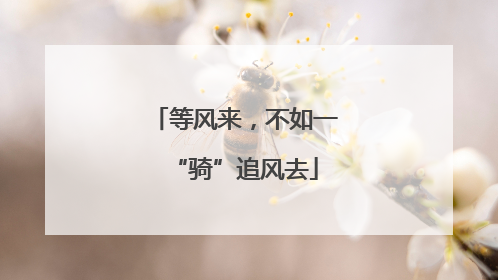 等风来，不如一“骑”追风去