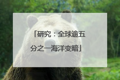 研究：全球逾五分之一海洋变暗