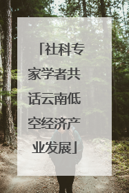社科专家学者共话云南低空经济产业发展